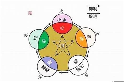 塑料五行属什么|塑料的五行是什么？